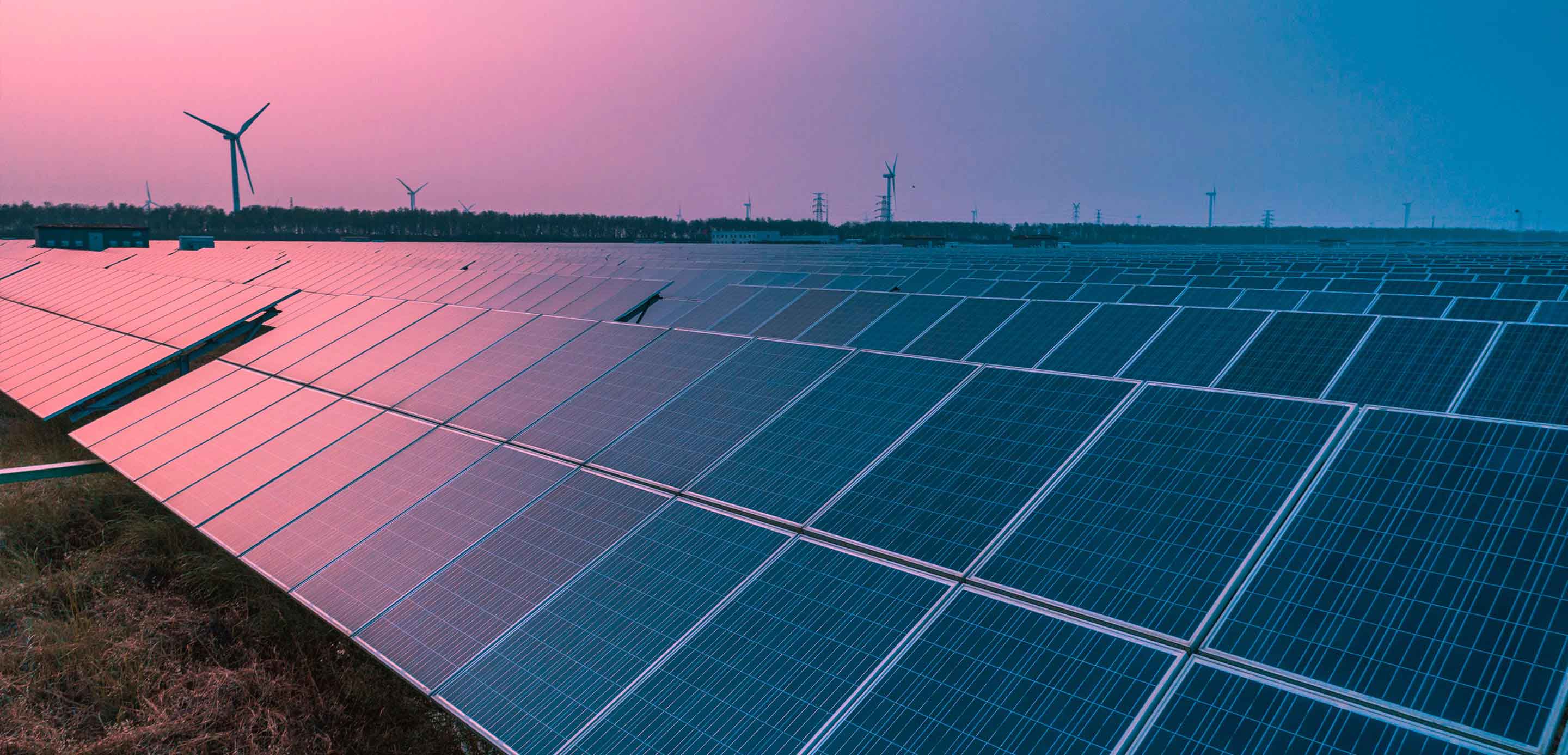 Sustainability for business HSBC New Zealand