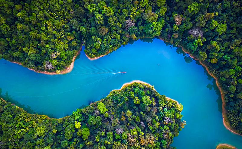 Sustainability for Businesses Sustainability for Businesses